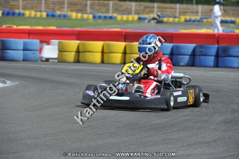 DSC_8954 (2).JPG
